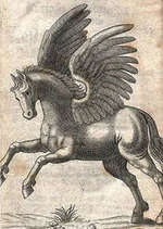 Arion - Adrastus