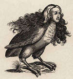 Harpies - Thaumas