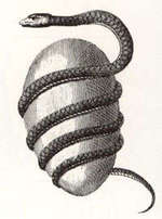 Ophion