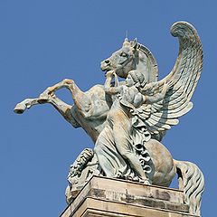 Pegasus - Medusa